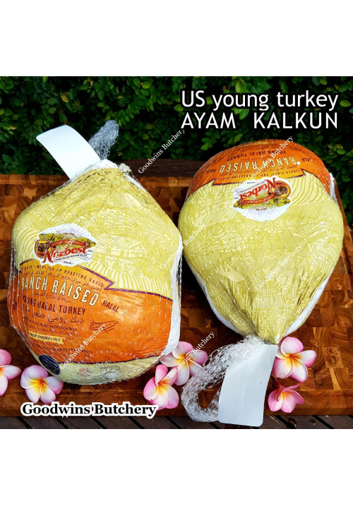 Ayam Kalkun young tender turkey NORBEST USA with pop-up timer HALAL frozen +/- 6 kg/pc (price/kg)